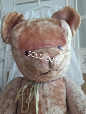 画像2: ピンクテディベア