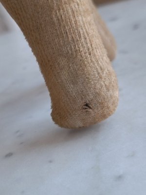 画像6: フランスのワンちゃん