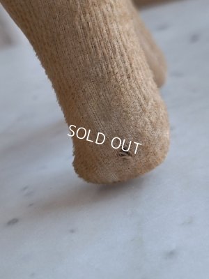 画像6: フランスのワンちゃん