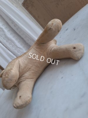 画像7: フランスのワンちゃん