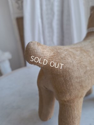 画像8: フランスのワンちゃん