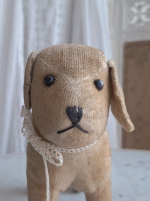 画像4: フランスのワンちゃん