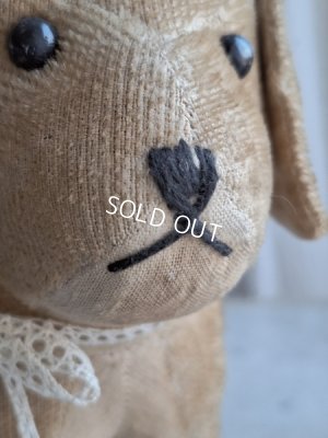 画像3: フランスのワンちゃん