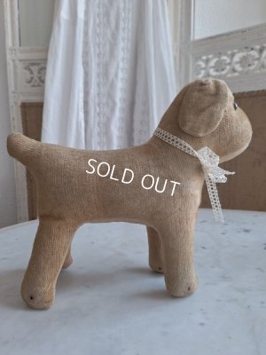 画像11: フランスのワンちゃん