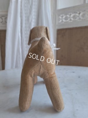 画像12: フランスのワンちゃん