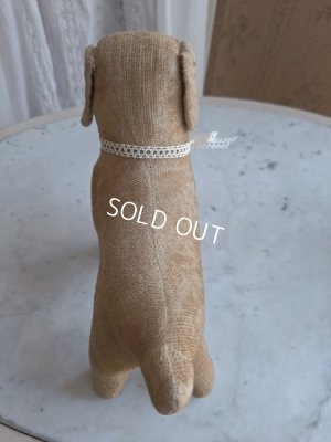 画像13: フランスのワンちゃん