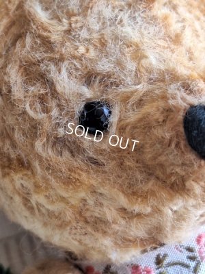 画像6: 小さなテディベア