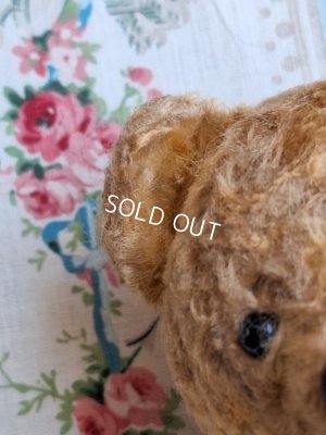 画像15: 小さなテディベア