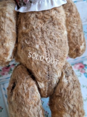 画像16: 小さなテディベア