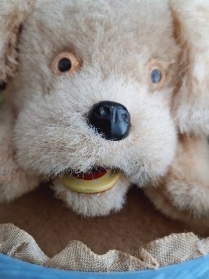 画像3: ゼンマイ仕掛けワンちゃん