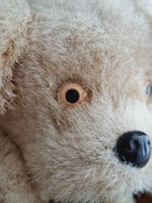 画像4: ゼンマイ仕掛けワンちゃん