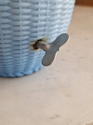 画像14: ゼンマイ仕掛けワンちゃん