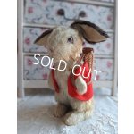 画像: シュタイイースターバニー