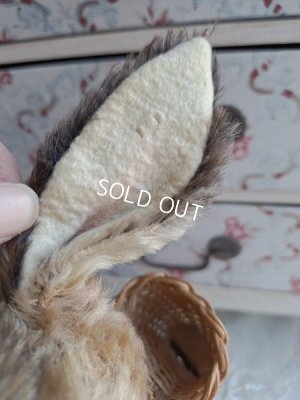 画像8: シュタイイースターバニー