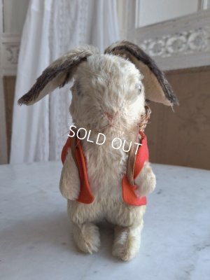 画像2: シュタイイースターバニー