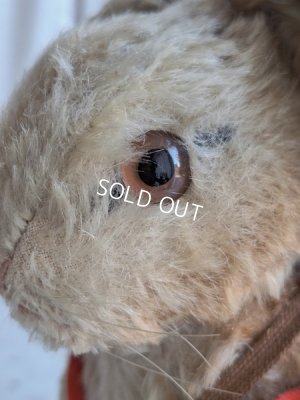 画像3: シュタイイースターバニー