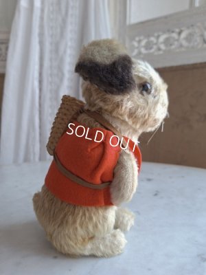 画像14: シュタイイースターバニー