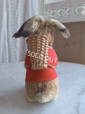 画像15: シュタイイースターバニー