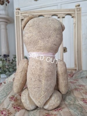 画像12: JPMフレンチテディベア