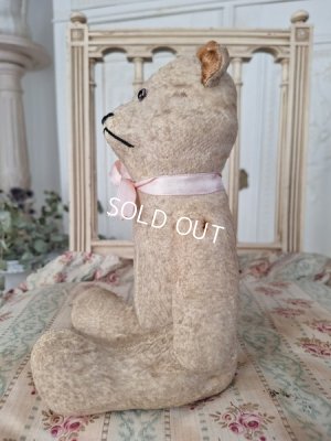 画像10: JPMフレンチテディベア