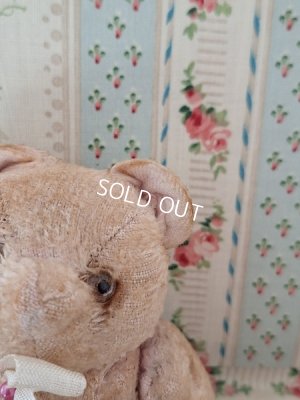 画像11: 小さなピンクテディベア