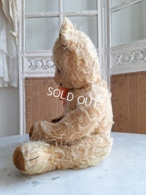 画像17: アンティークモヘアテディベア