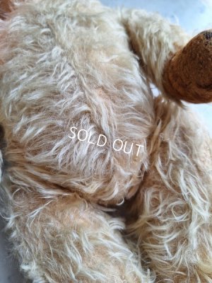 画像19: アンティークモヘアテディベア