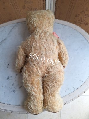 画像20: アンティークモヘアテディベア