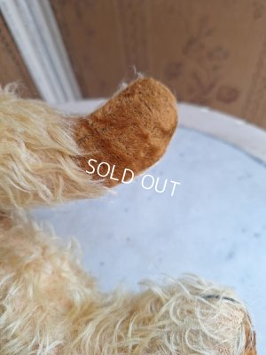 画像12: アンティークモヘアテディベア