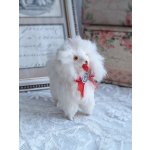 画像: LouLouドッグ