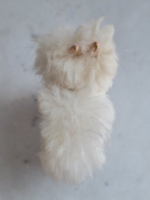 画像5: LouLouドッグ