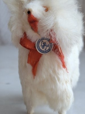 画像4: LouLouドッグ