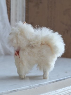 画像10: LouLouドッグ