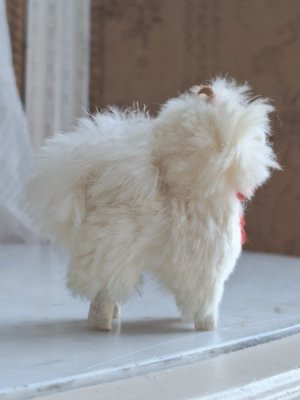 画像12: LouLouドッグ