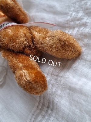 画像10: ベルリンベア