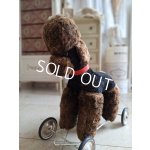 画像: 車輪付プードル