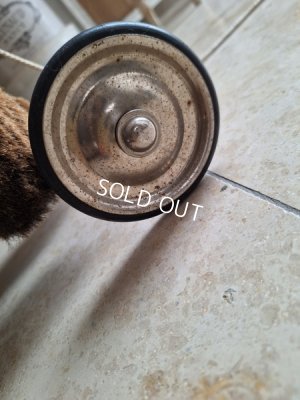 画像19: 車輪付プードル