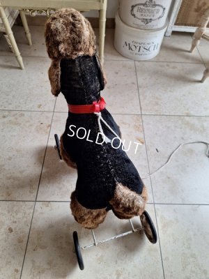 画像13: 車輪付プードル