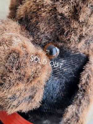 画像6: 車輪付プードル