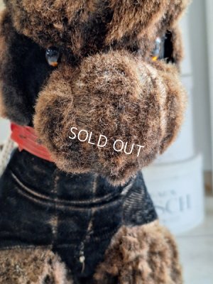 画像5: 車輪付プードル