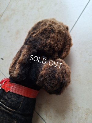 画像11: 車輪付プードル