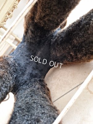 画像21: 車輪付プードル