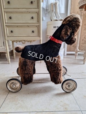 画像17: 車輪付プードル