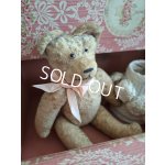 画像: フレンチテディベア