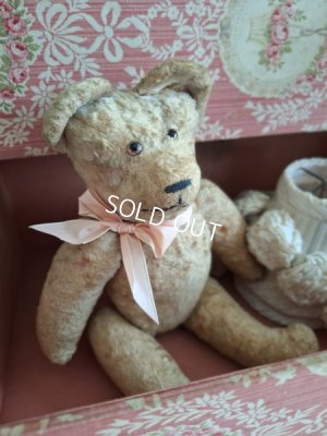 jpmteddybear