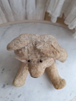 画像5: フレンチテディベア