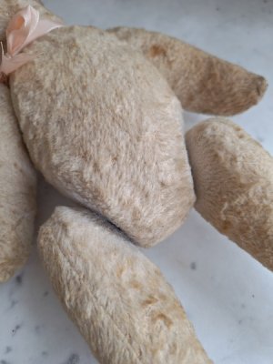 画像6: フレンチテディベア