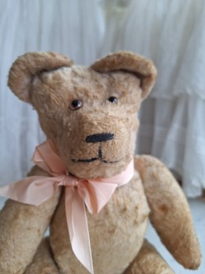 画像2: フレンチテディベア