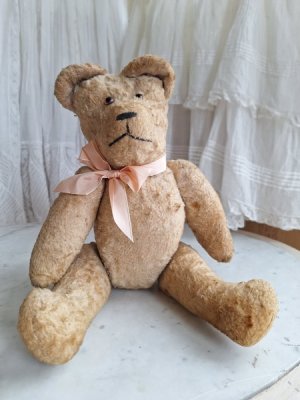 画像12: フレンチテディベア