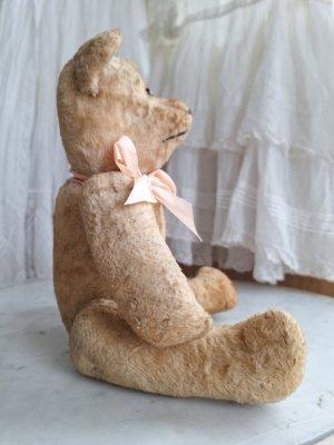 画像13: フレンチテディベア